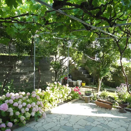 Apartment Dijana